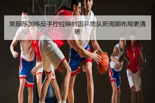 樊振东加练反手拧拉映射国乒男队新周期布局更清晰